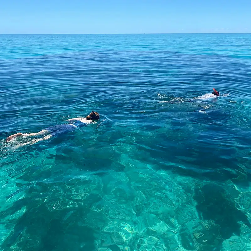 Two snorkelers exploring the vibrant coral reefs, floating over the clear turquoise waters of the Great Barrier Reef.