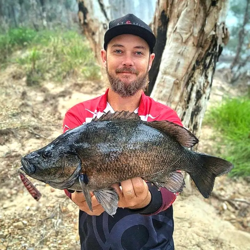 Man presenting a freshly caught black bream, standing near dry bushland.