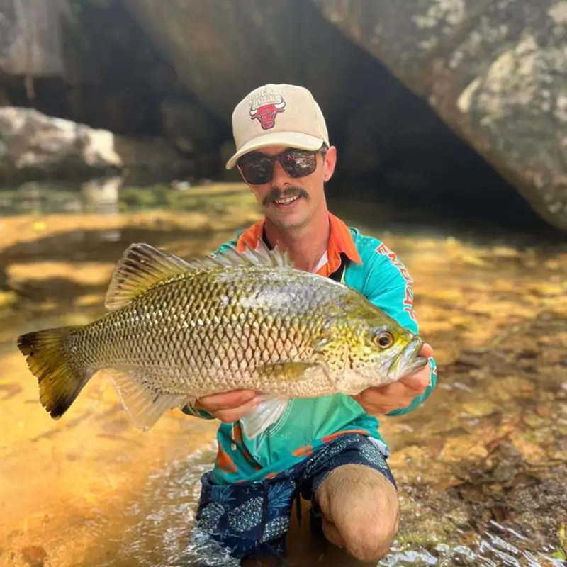 Angler kneeling by a rocky creek holding a large yellowbelly, with shaded water in the background.