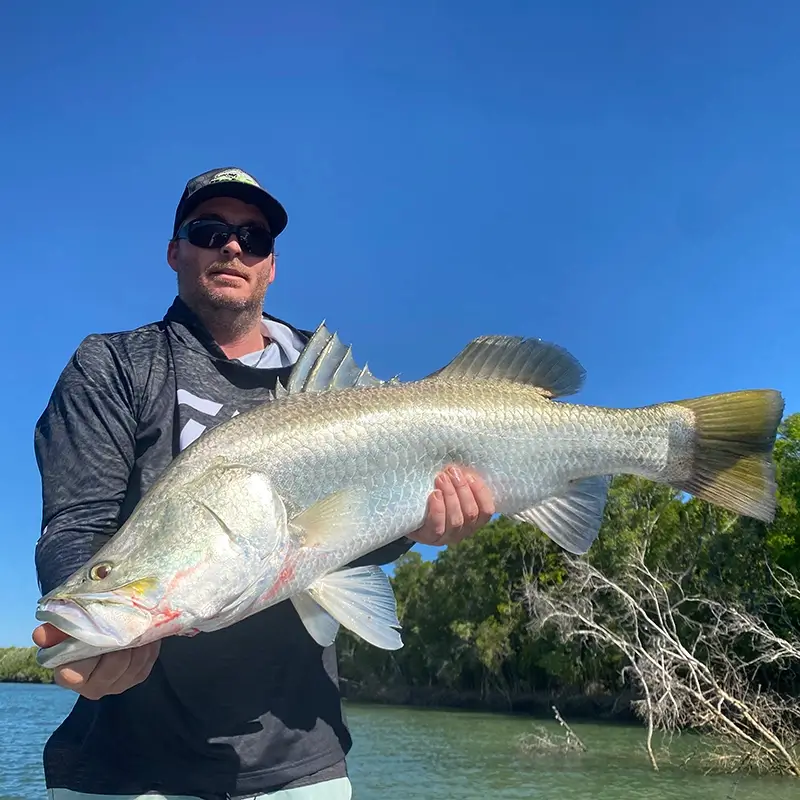 Angler displaying a large barramundi, with tropical mangroves along a quiet river.