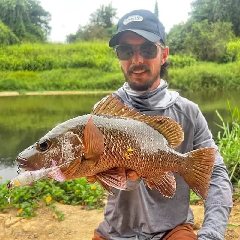 Angler holding a mangrove jack, with dense foliage in the background, next to a calm river.