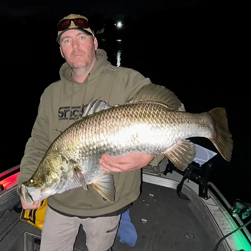 Fisher standing in a boat at night, displaying a barramundi under artificial light, with the river dimly visible in the background.